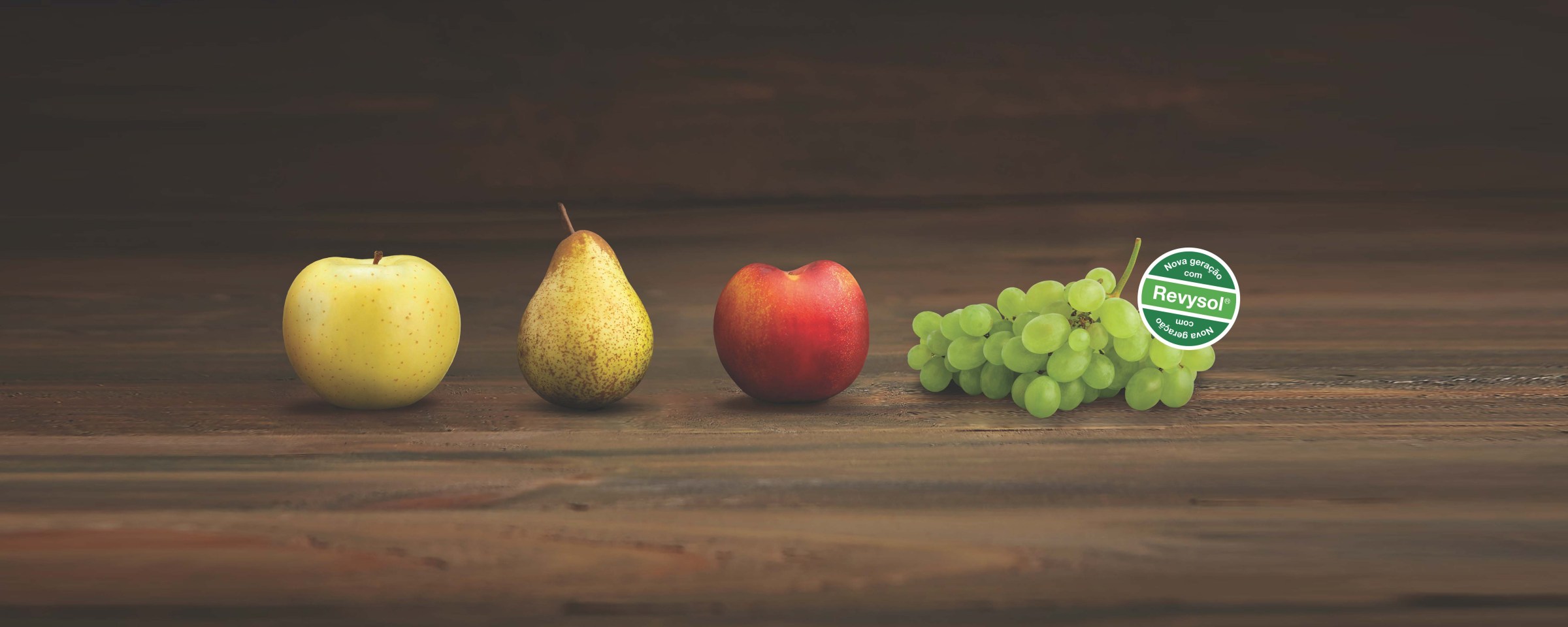 Revysion, escolha a diferença