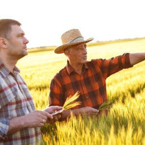  BASF Agricultural Solutions 