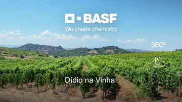 BASF 360º Tour - Oídio na Vinha 