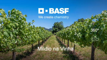 BASF 360º Tour - Míldio na Vinha 