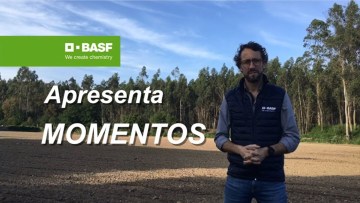 MOMENTOS BASF 