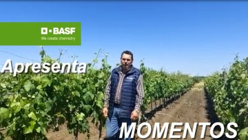 MOMENTOS BASF 