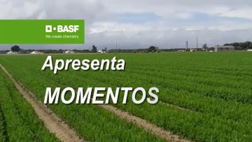 MOMENTOS BASF 