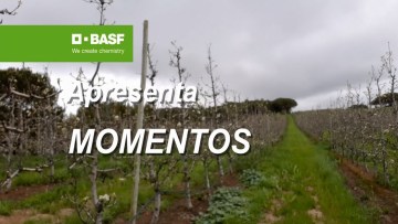 MOMENTOS BASF 
