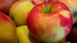 Fruticultura