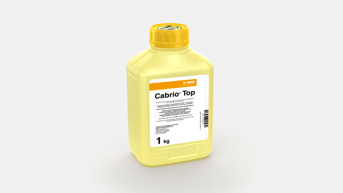 Cabrio® Top é um fungicida para o tratamento de escoriose, míldio e podridão negra (black rot) na cultura da vinha.