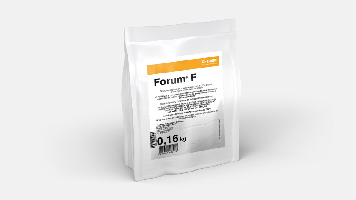 Forum F - 58156608