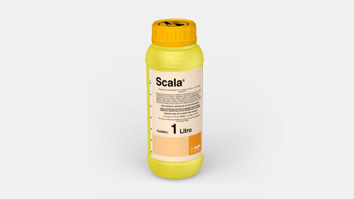 Scala® é um fungicida para o tratamento de podridão cinzenta, queima das folhas, alternaria e pedrado em hortícolas e vinha.