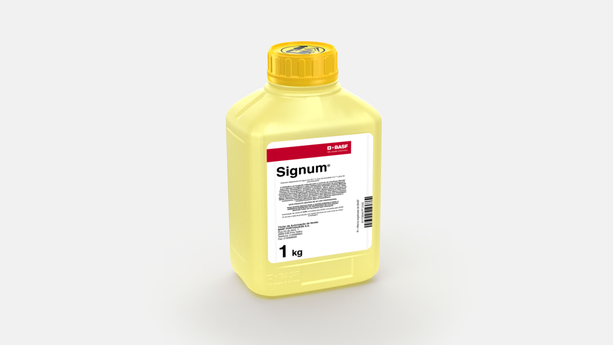 Signum® é um fungicida BASF para o tratamento de diversas doenças em diferentes culturas.