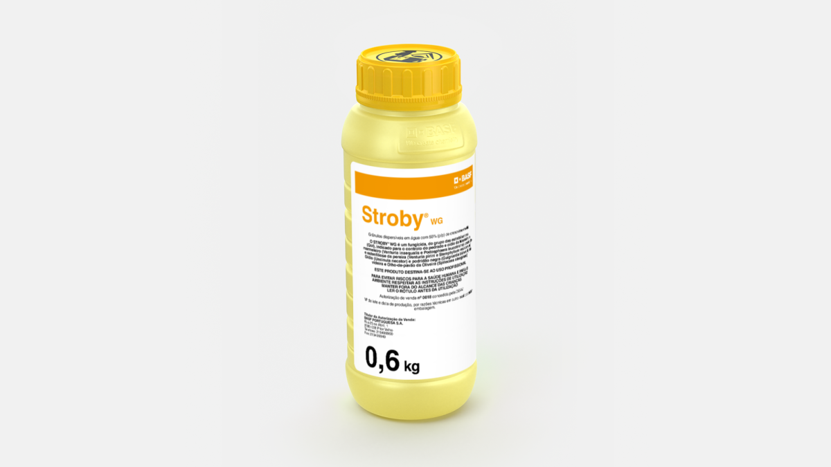 Stroby WG - 58234896