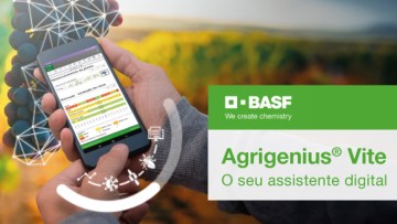 Agrigenius® Vite, a nova solução digital BASF