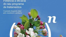 Century®, o parceiro fungicida ideal para maximizar a proteção
