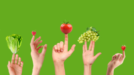 Serifel®, biofungicida