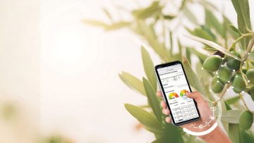 Agricultura Digital | Agrigenius® Olive