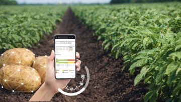 Agricultura Digital | Agrigenius® Potato