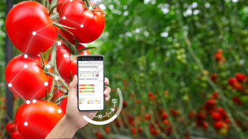 Agricultura Digital | Agrigenius® Tomato