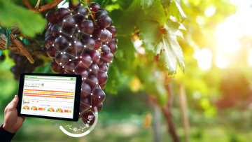 Agricultura Digital | Agrigenius® Vite