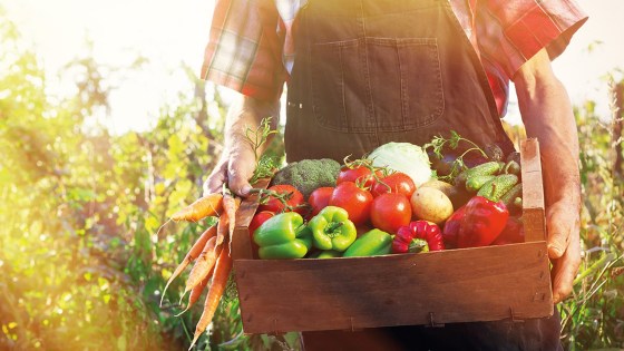 agricultura moderna