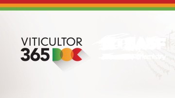 Viticultor 365 DOC - Rumo ao Futuro