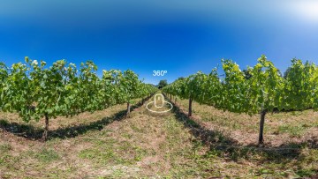 BASF 360º TOUR