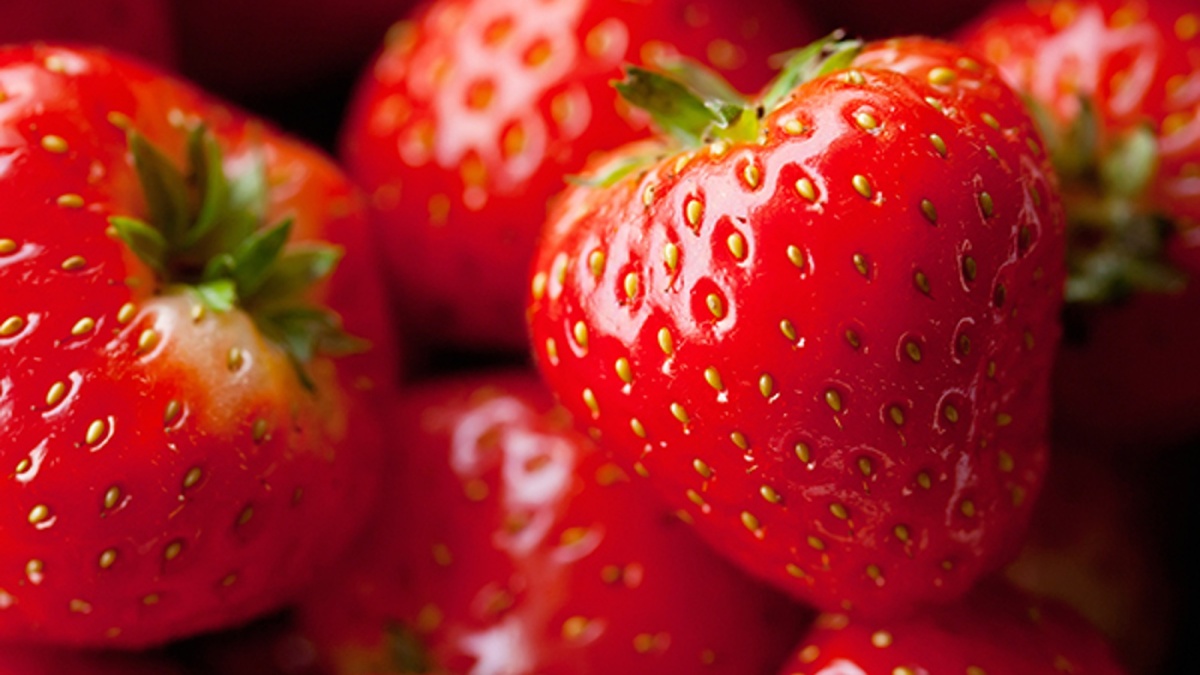 Kumulus® S, fungicida para o tratamento de oídio, pedrado e escoriose em diferentes culturas, incluindo pomóideas, prunóideas, hortícolas, cucurbitáceas e vinha.
