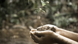 BASF e Biodiversidade