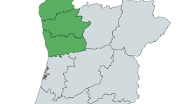 Braga, Porto, Viana do Castelo 