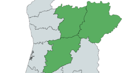 Bragança, Vila Real, Viseu 