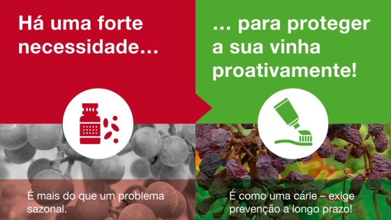 DLV: quais são os principais desafios dos viticultores?