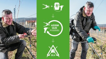 Como e quando sugerimos tratar as DLV?