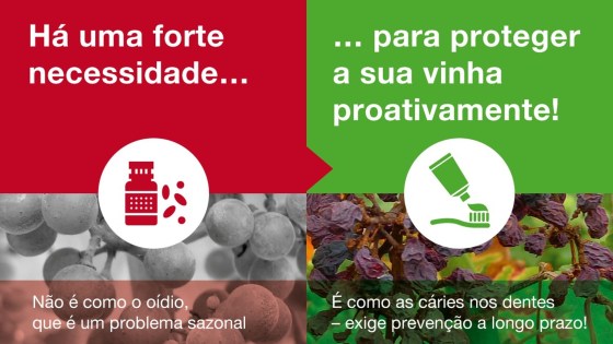  Tessior® e DLV
