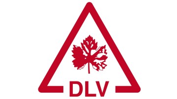 O que são as DLV?